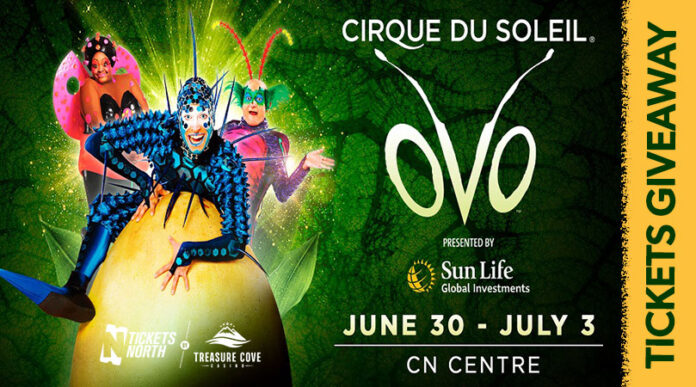 cirque du soleol fort myers